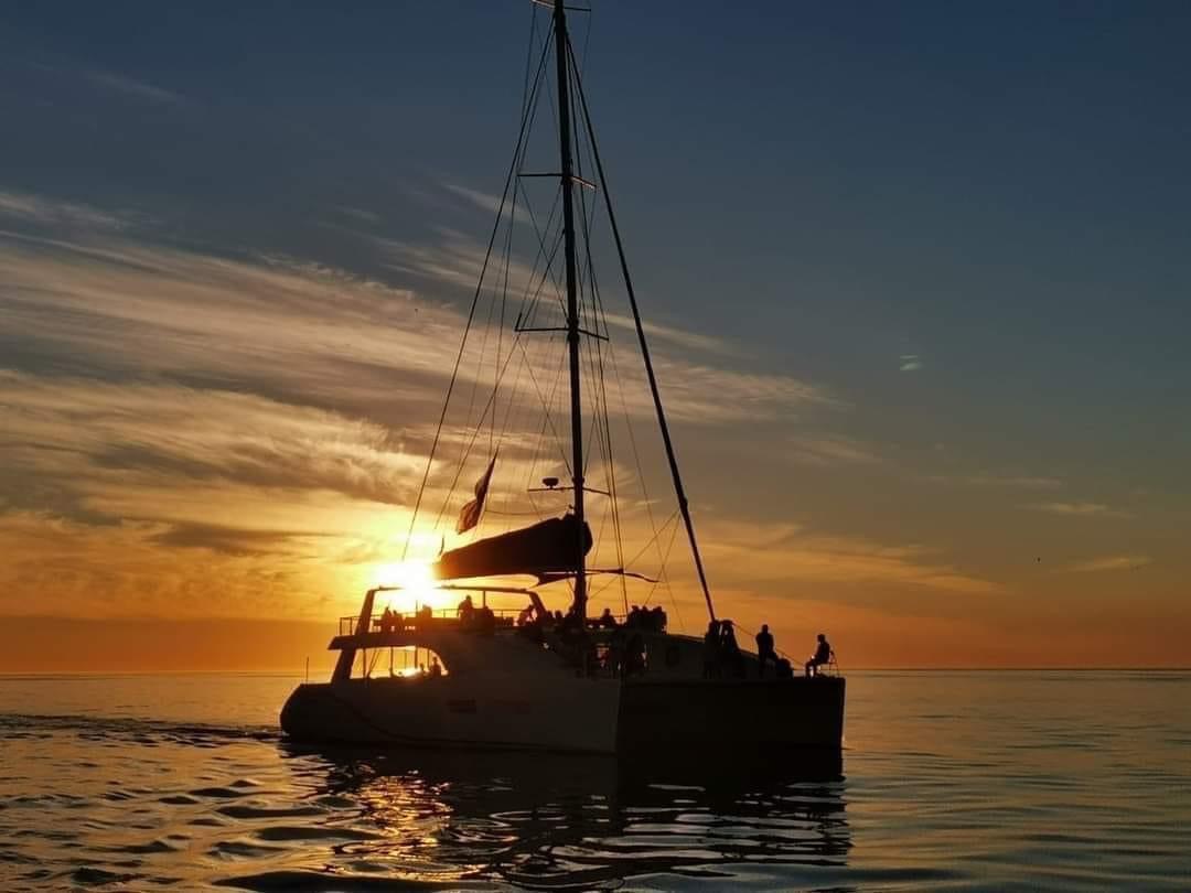 5 Days 4 Nights Tented Camp Tanzania Safari safari